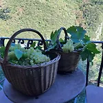 Casa Ceri Проживание в семье Casoli (Tuscany)