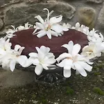Проживание в семье Casa Ceri Casoli (Tuscany)