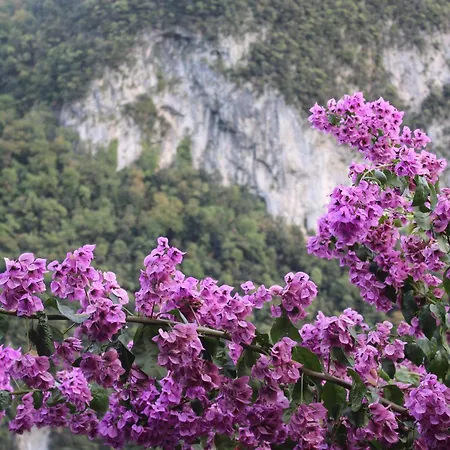 Casa Ceri Privatunterkunft Casoli (Tuscany)