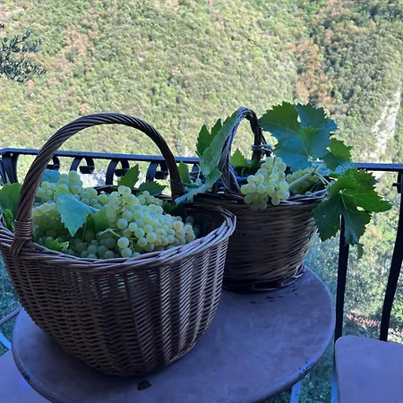 Casa Ceri Privatunterkunft Casoli (Tuscany)